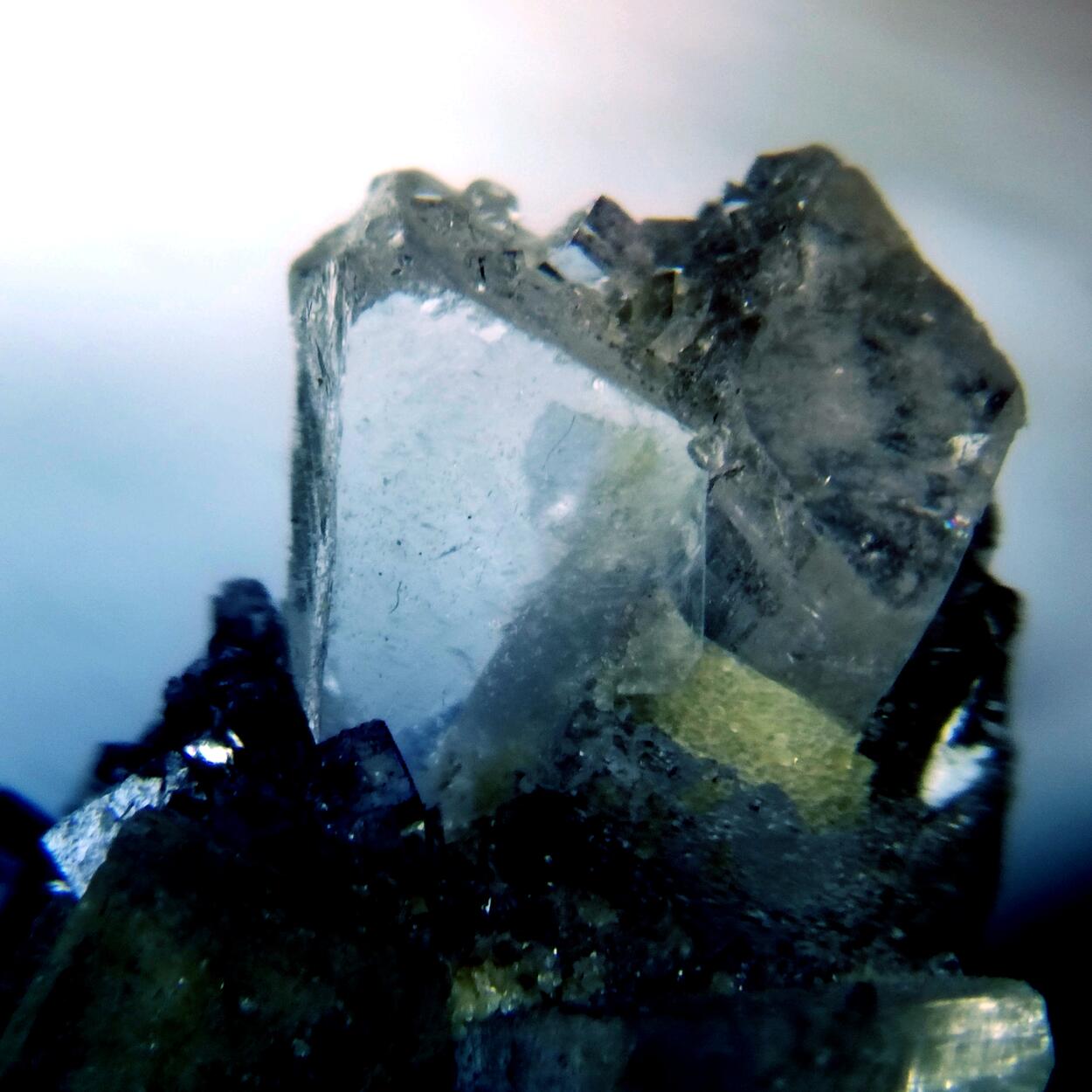 Bertrandite & Fluorite On Smoky Quartz