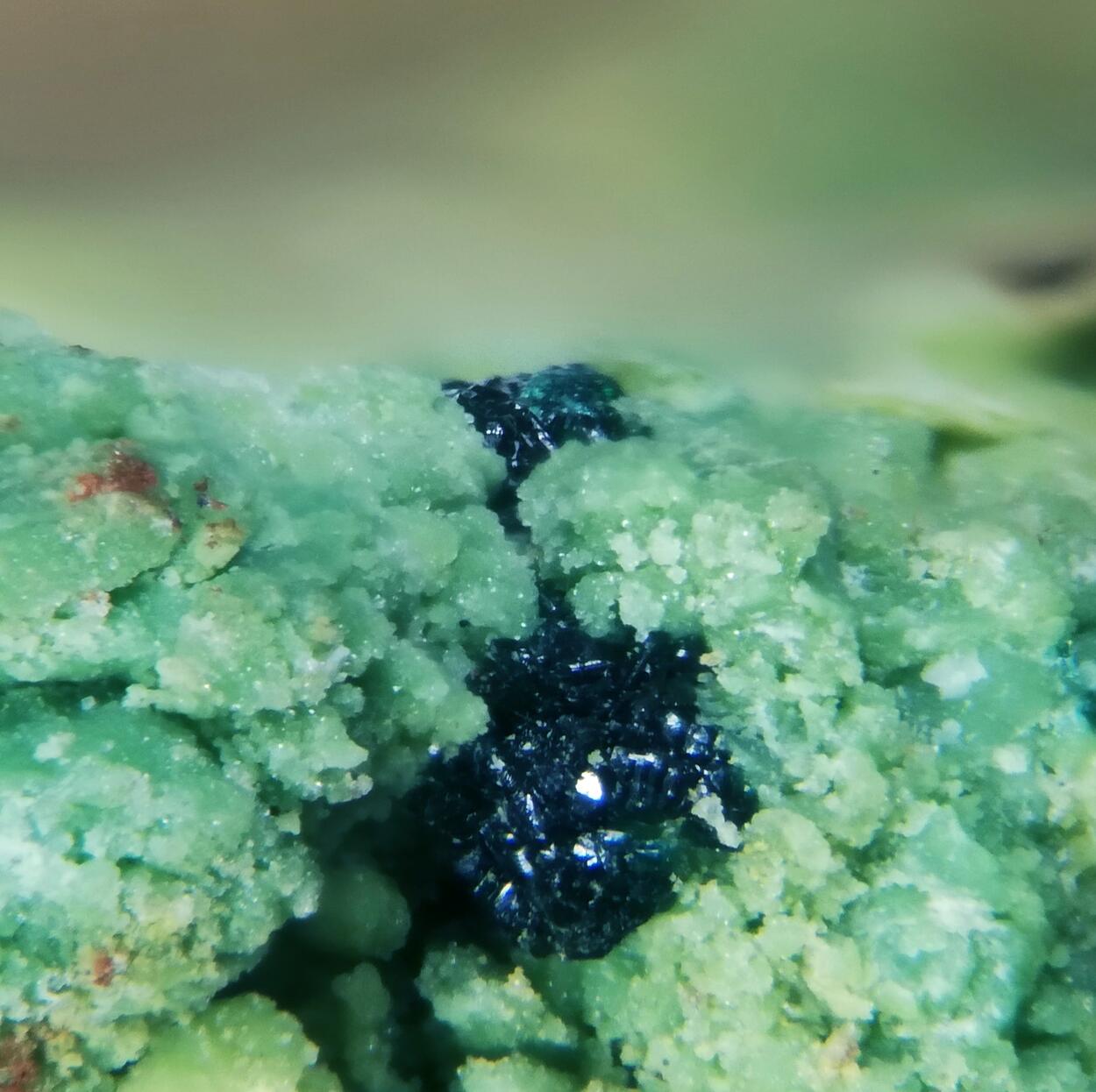 Gillardite On Gaspéite