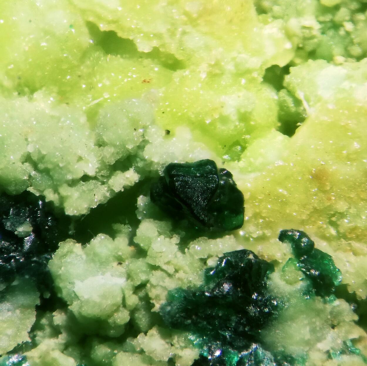 Gillardite On Gaspéite