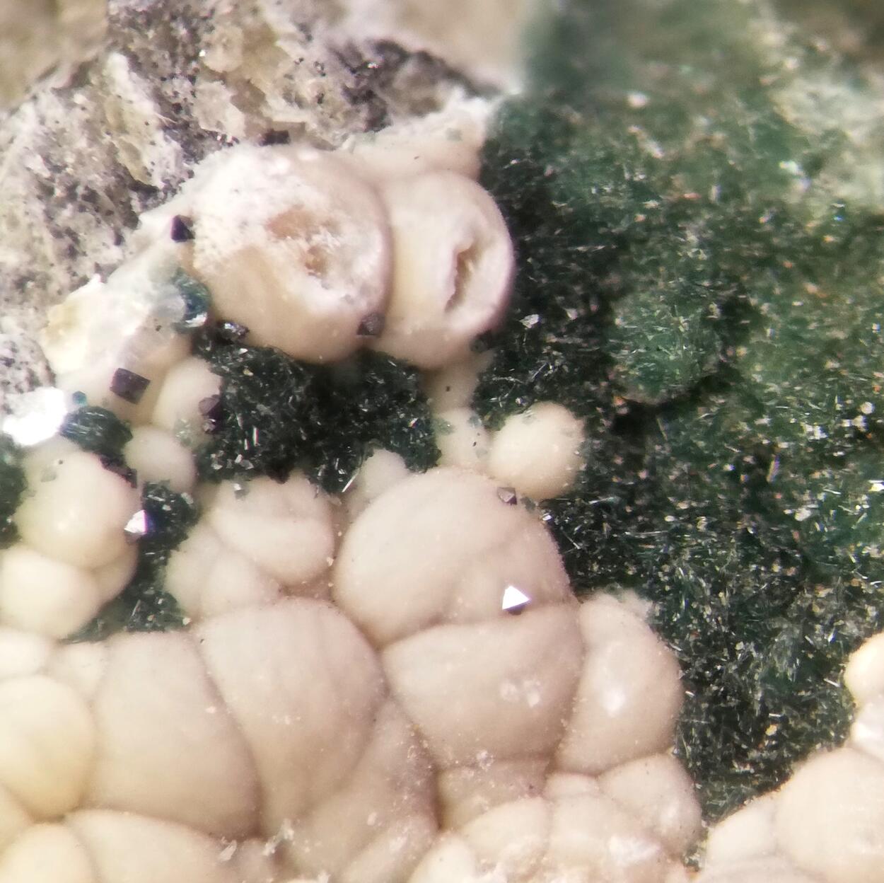 Pokrovskite & Pyroaurite-2H