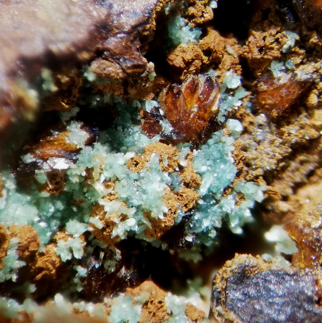Turquoise & Jarosite