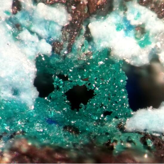 Ramsbeckite & Linarite