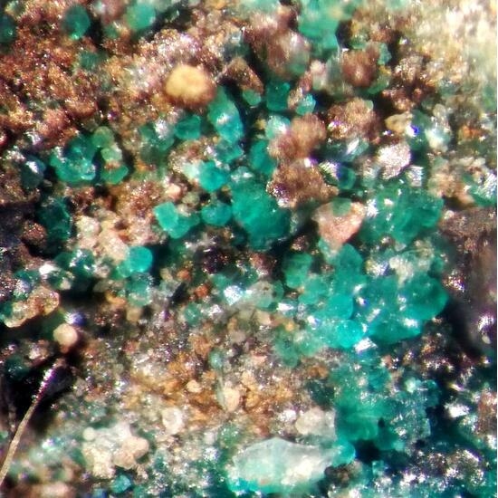 Ramsbeckite & Linarite