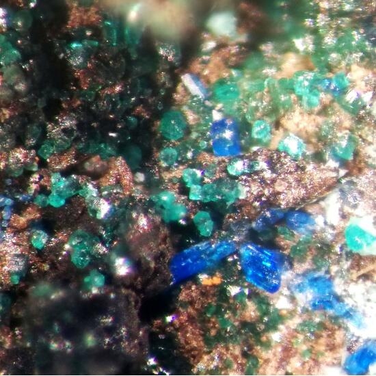 Ramsbeckite & Linarite