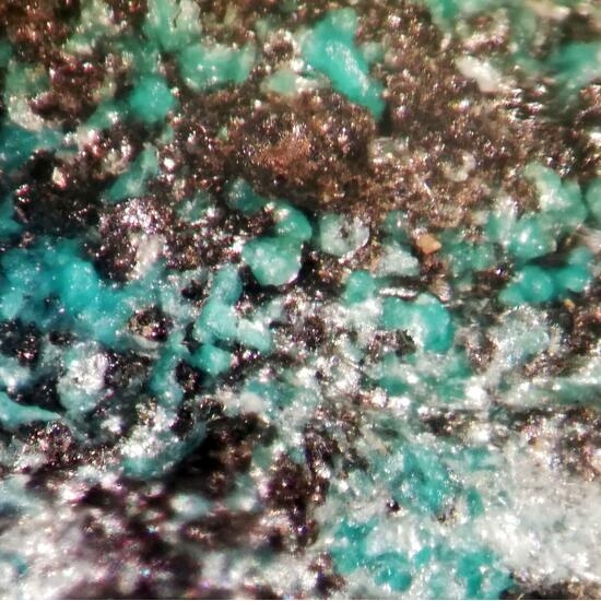 Ramsbeckite & Linarite