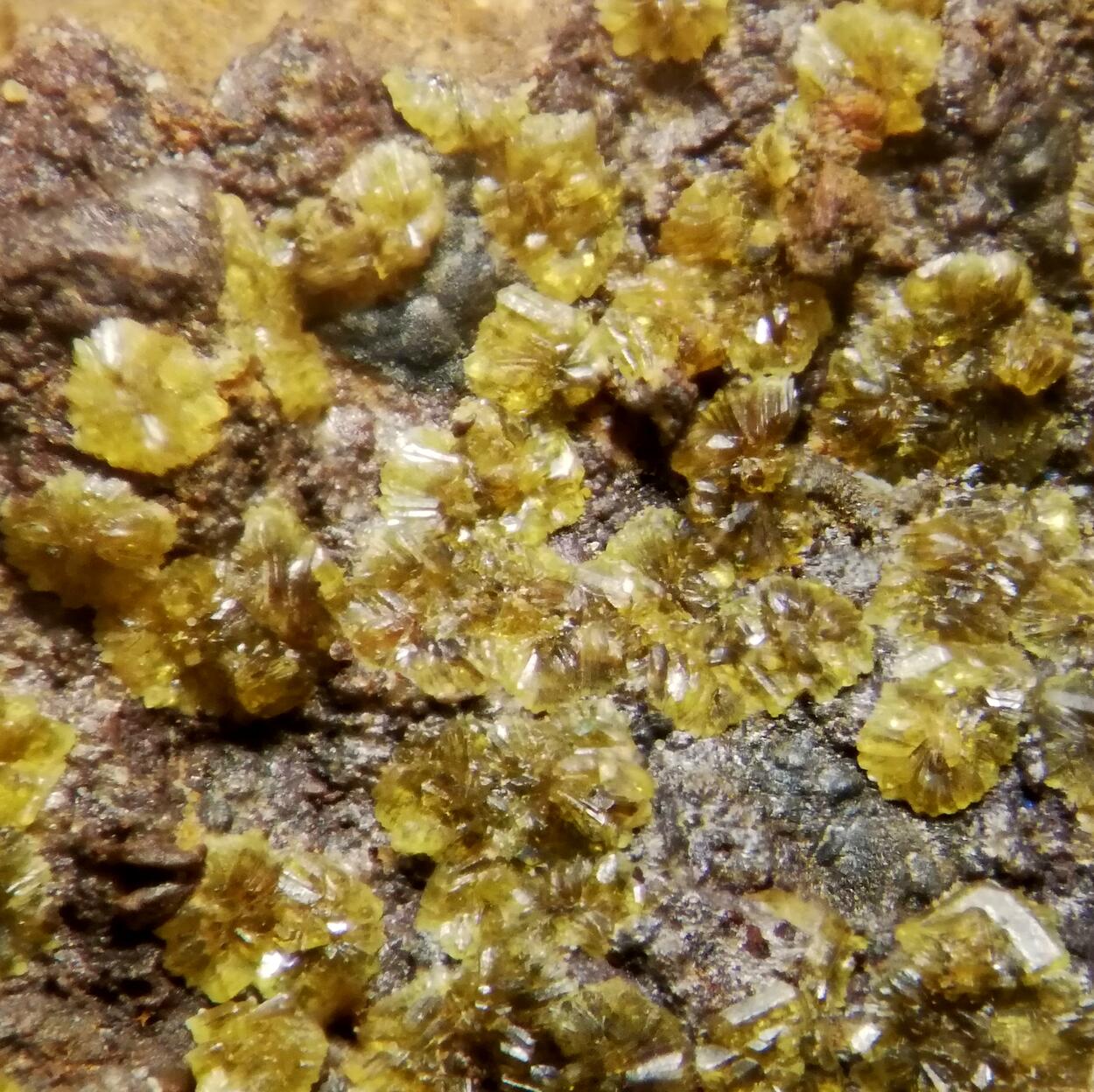 Cyrilovite