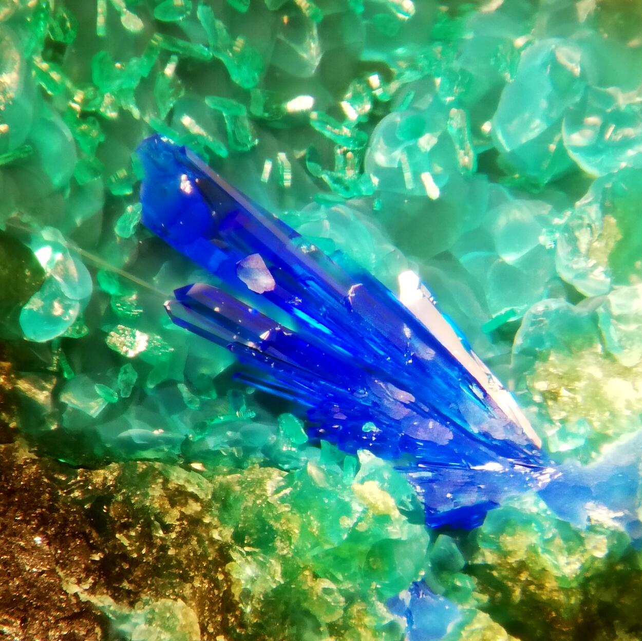 Linarite & Brochantite