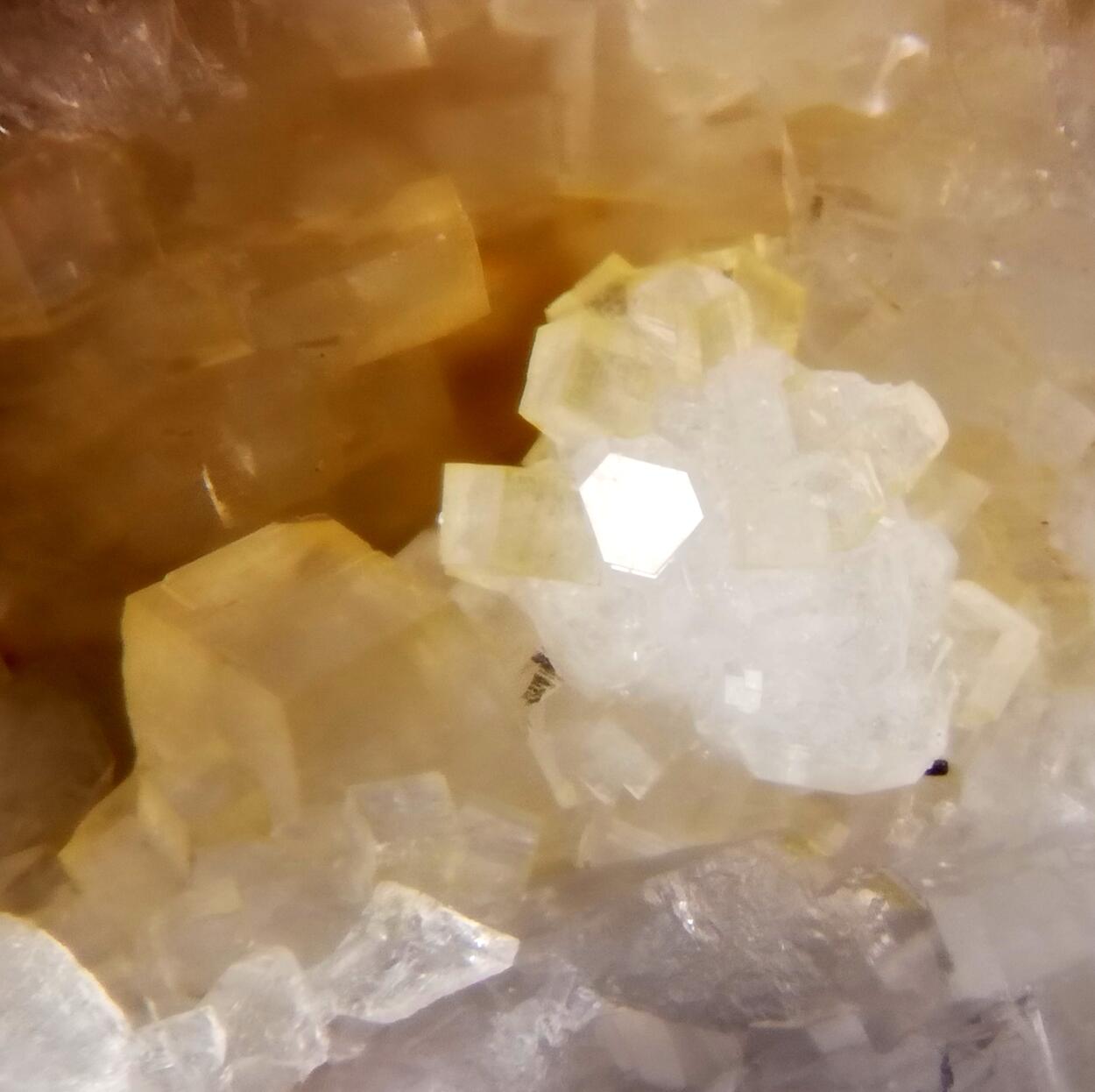 Pachnolite & Thomsenolite