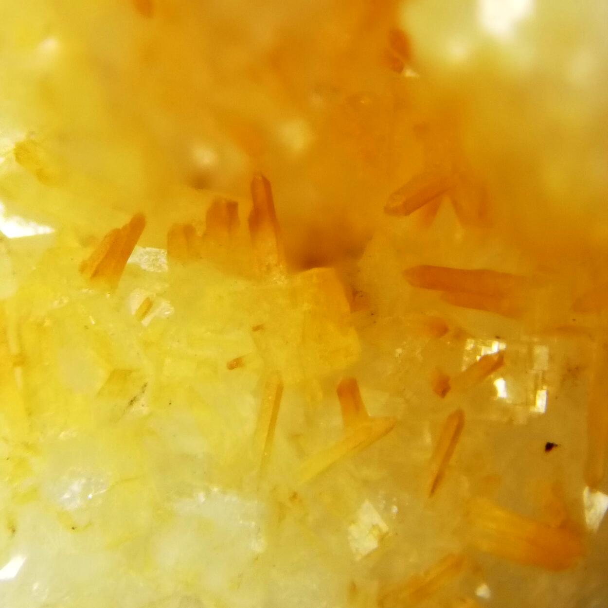 Pachnolite & Thomsenolite