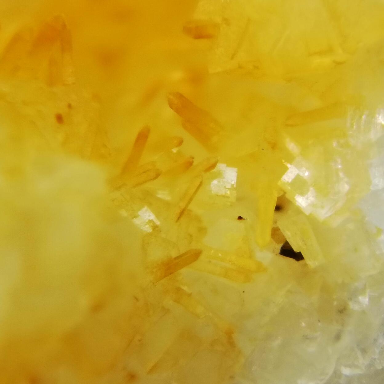 Pachnolite & Thomsenolite