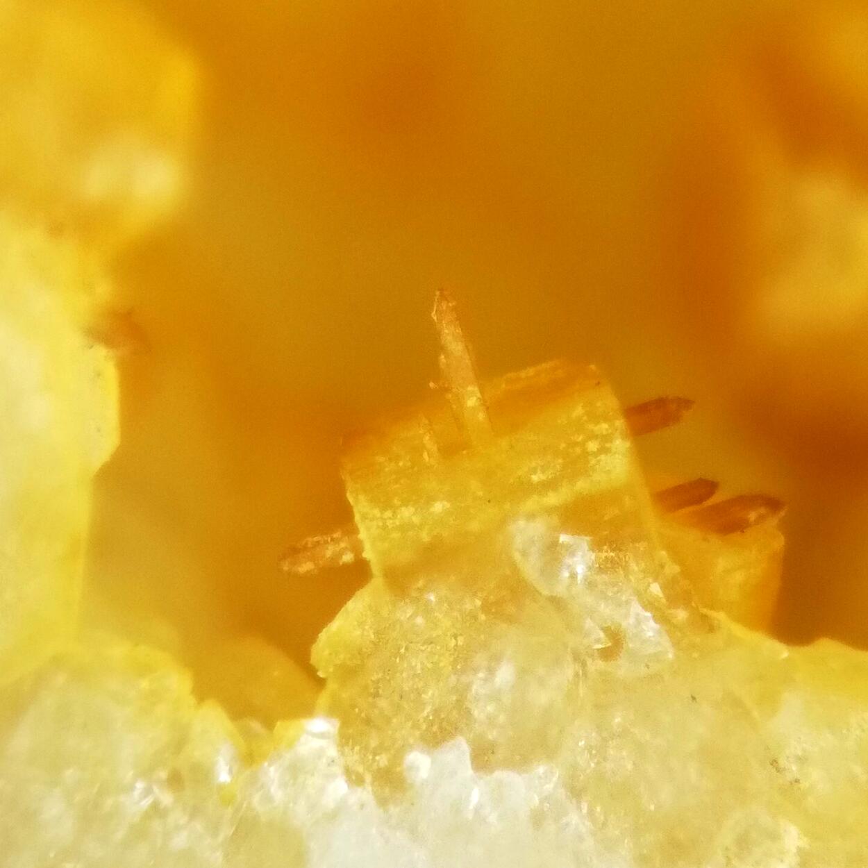 Pachnolite & Thomsenolite