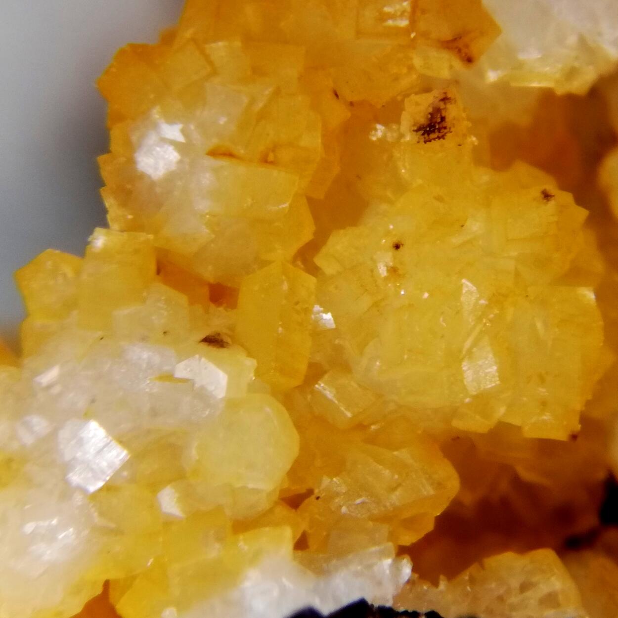 Pachnolite & Thomsenolite