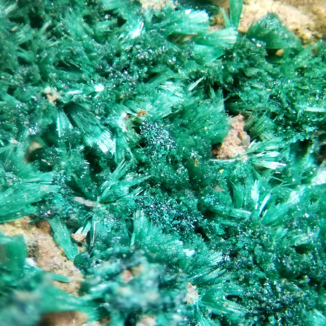 Brochantite