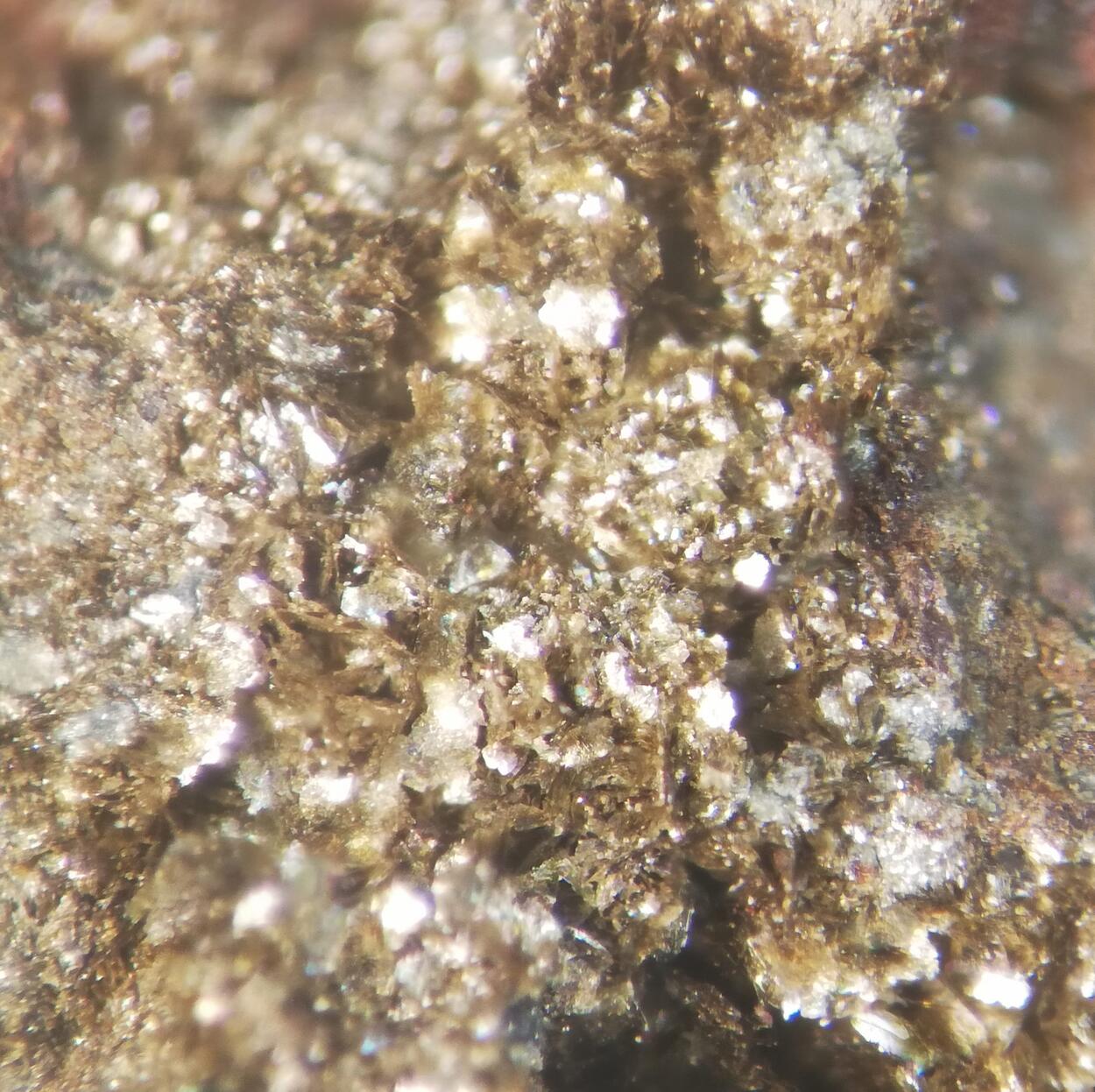 Chamosite