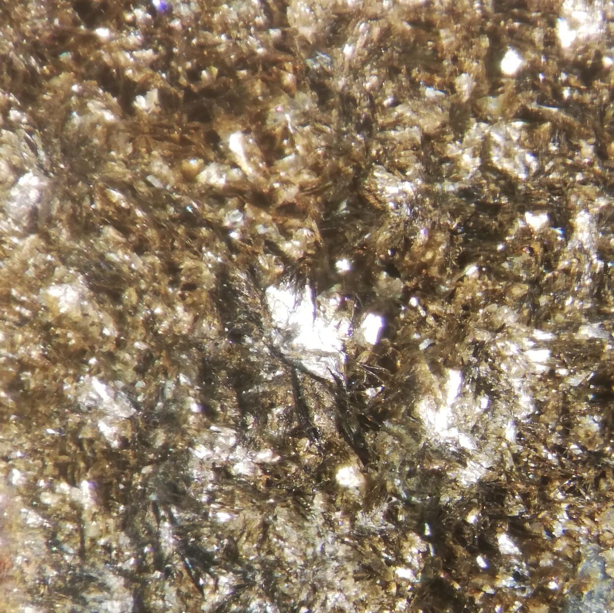 Chamosite