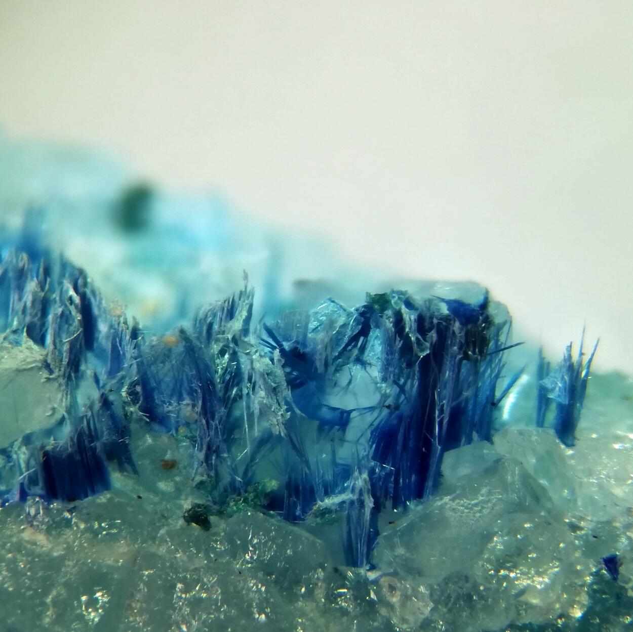 Connellite