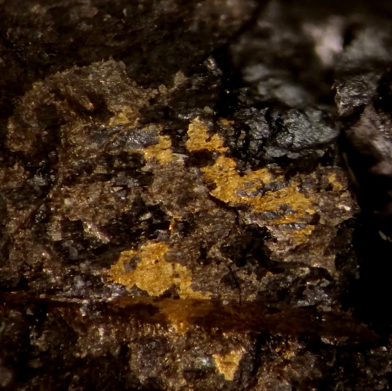 Native Gold In Uraninite