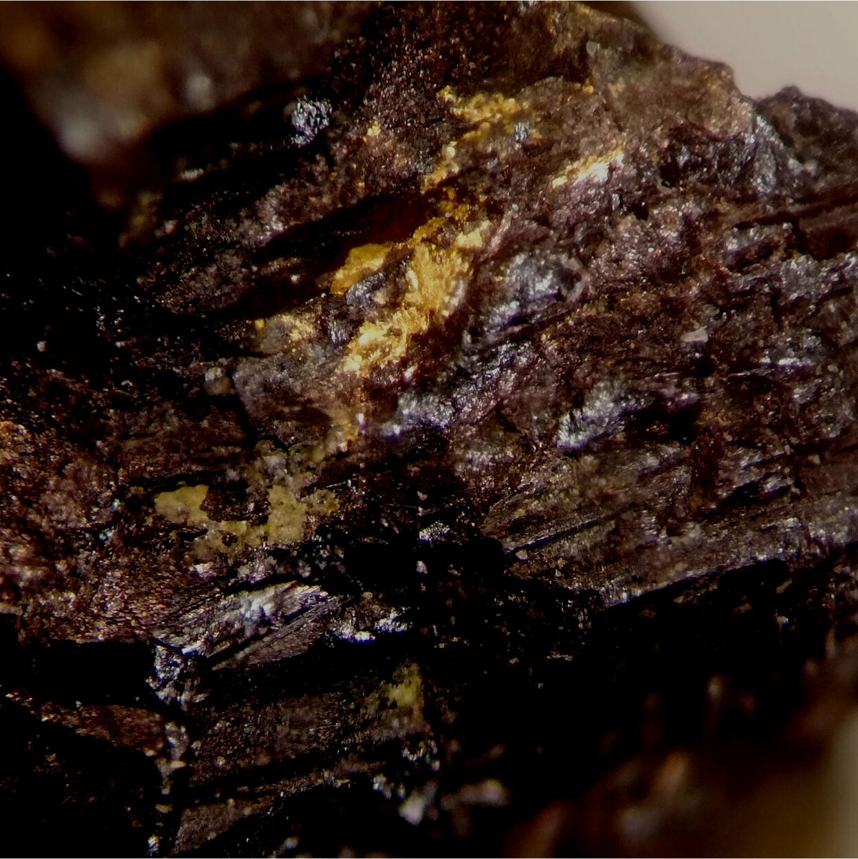 Native Gold In Uraninite