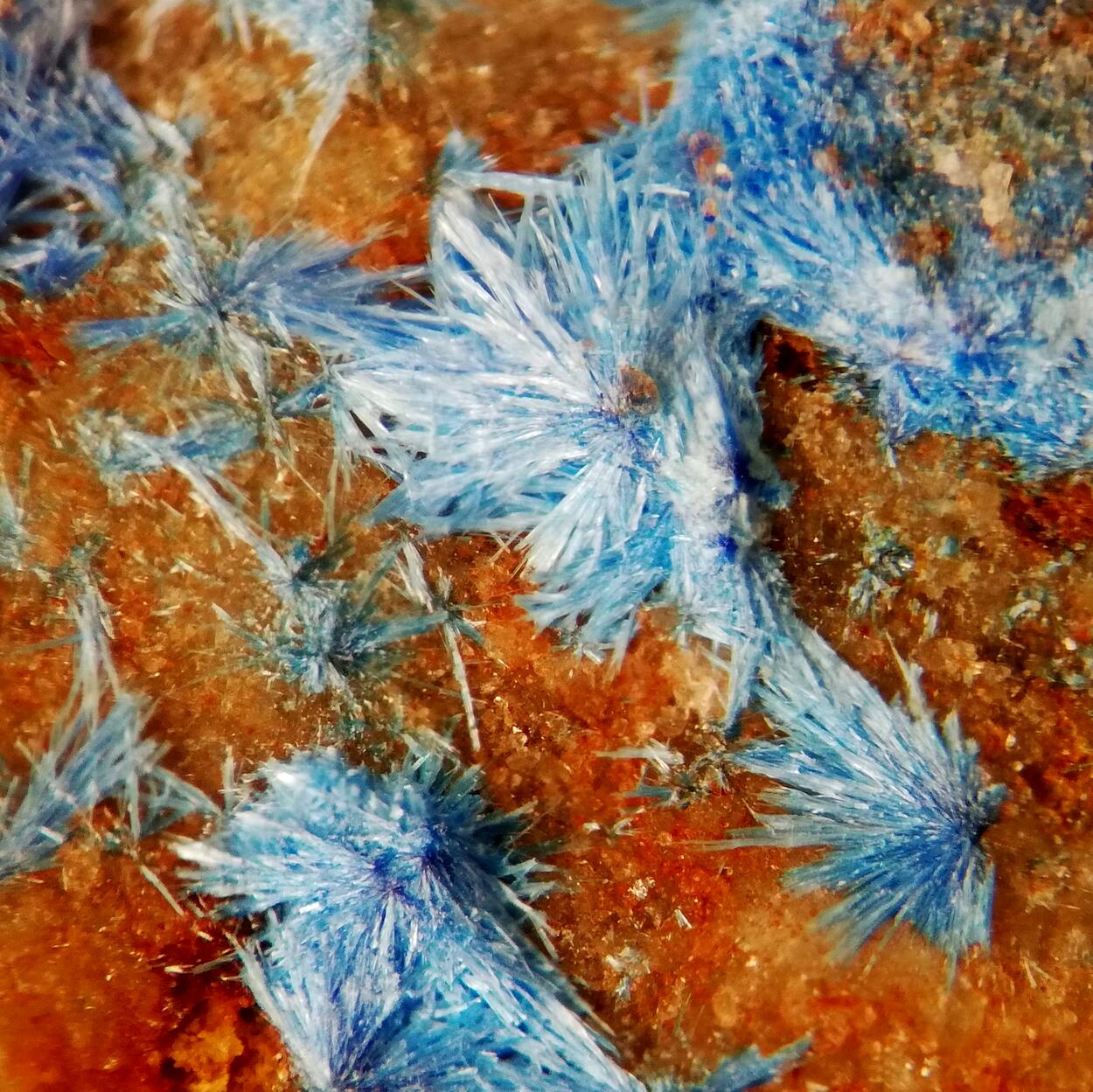 Cyanotrichite