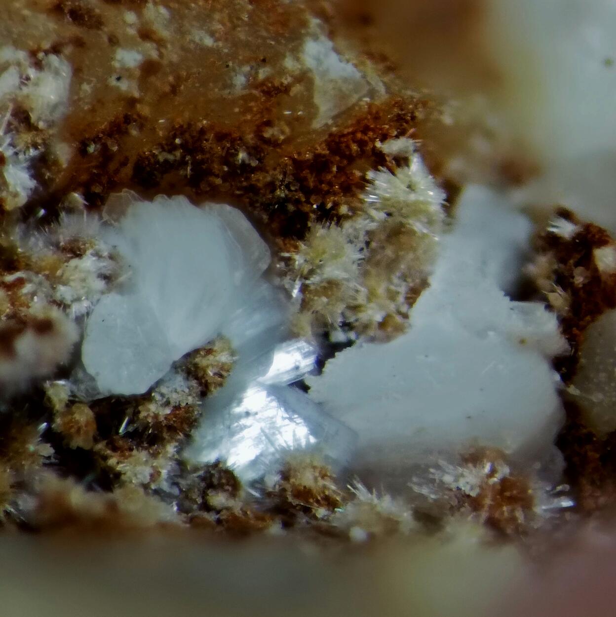 Sainfeldite & Guérinite