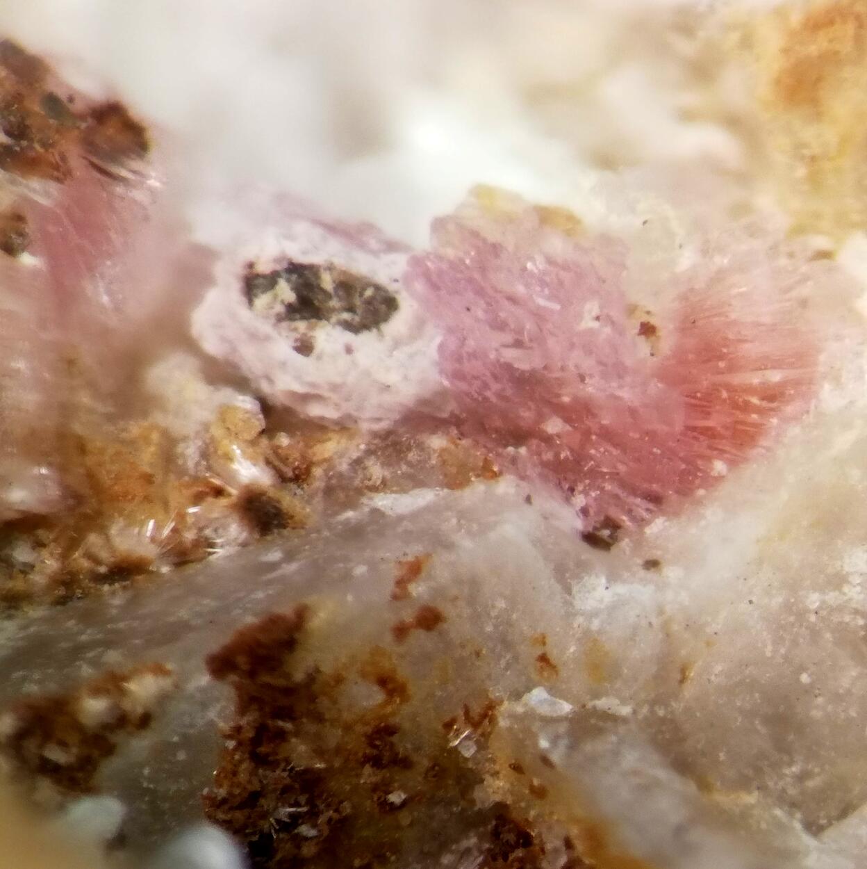 Sainfeldite & Guérinite