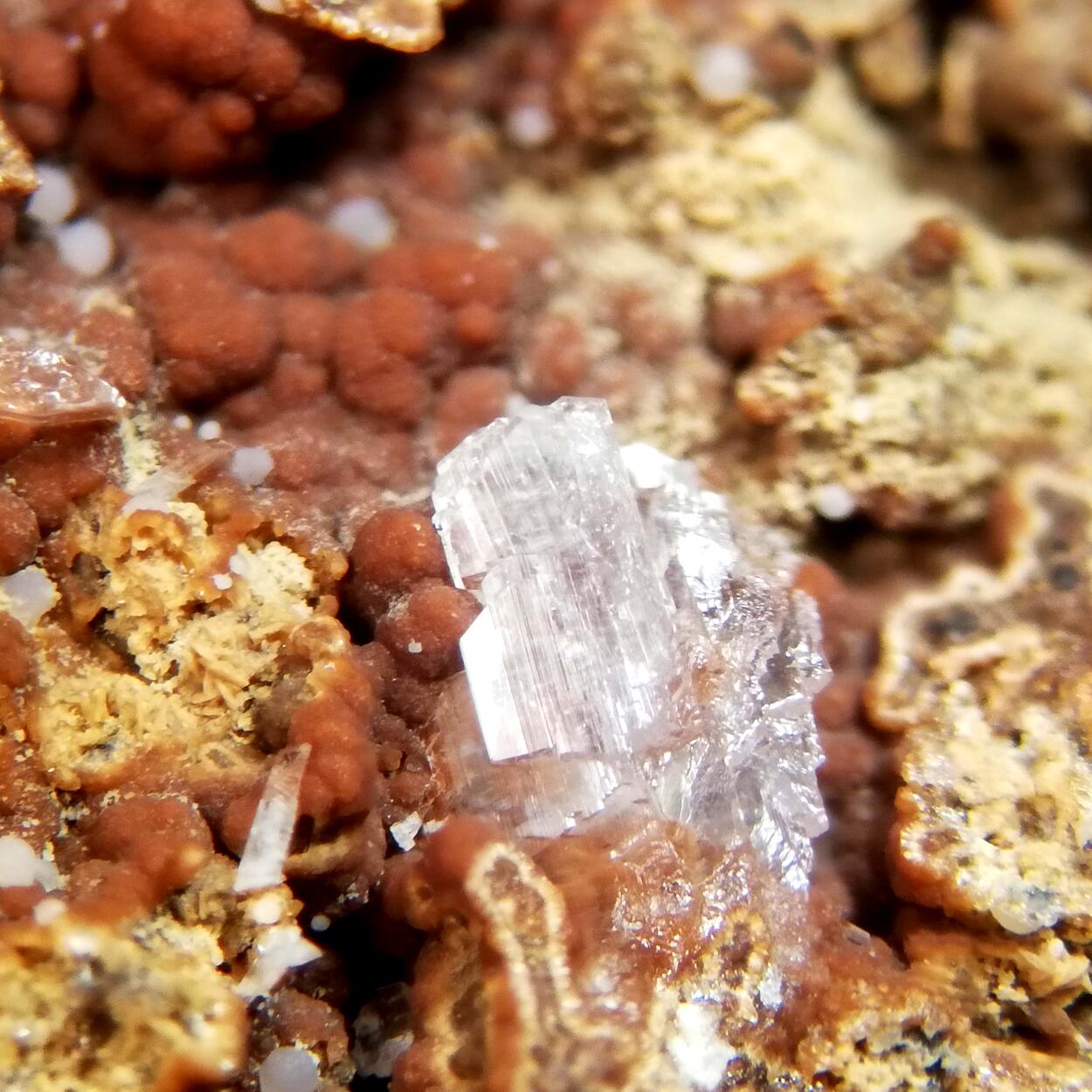 Brandtite On Caryopilite