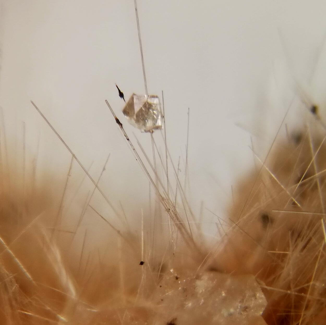 Chabazite Thomsonite On Mordenite