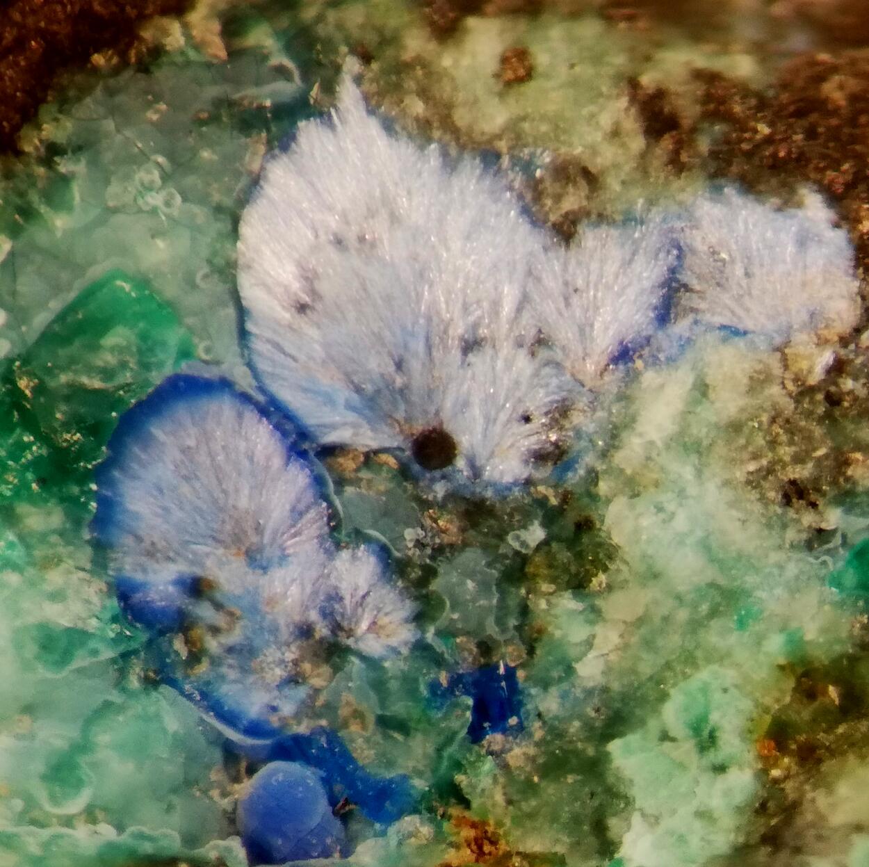 Munakataite Linarite