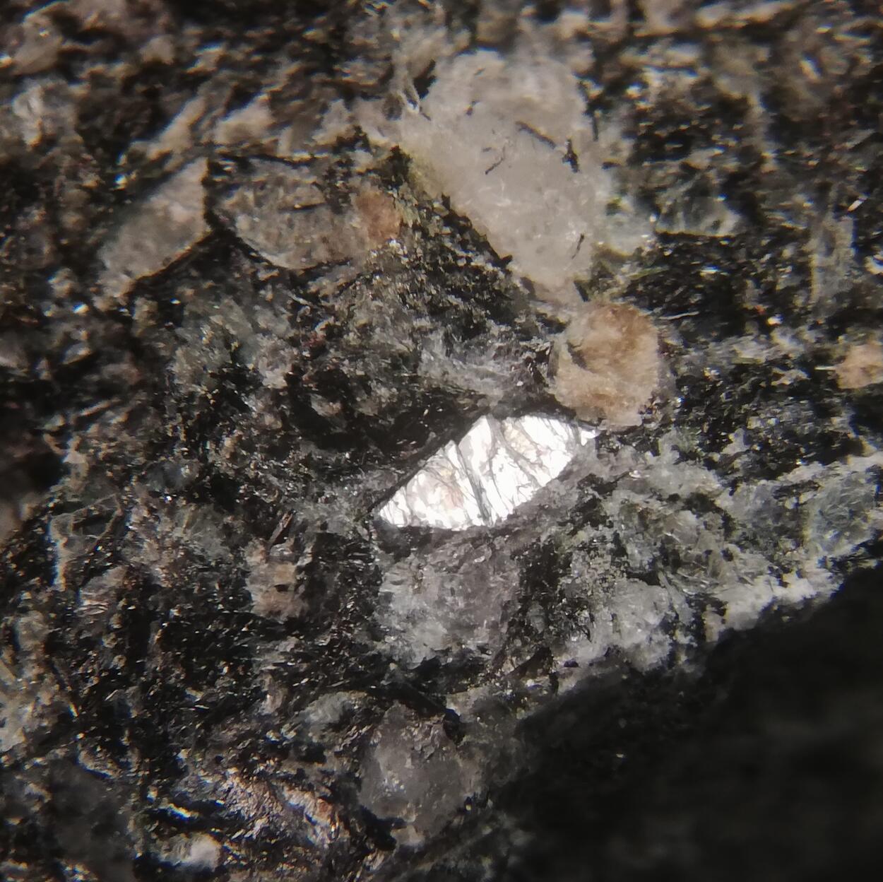 Naujakasite & Villiaumite