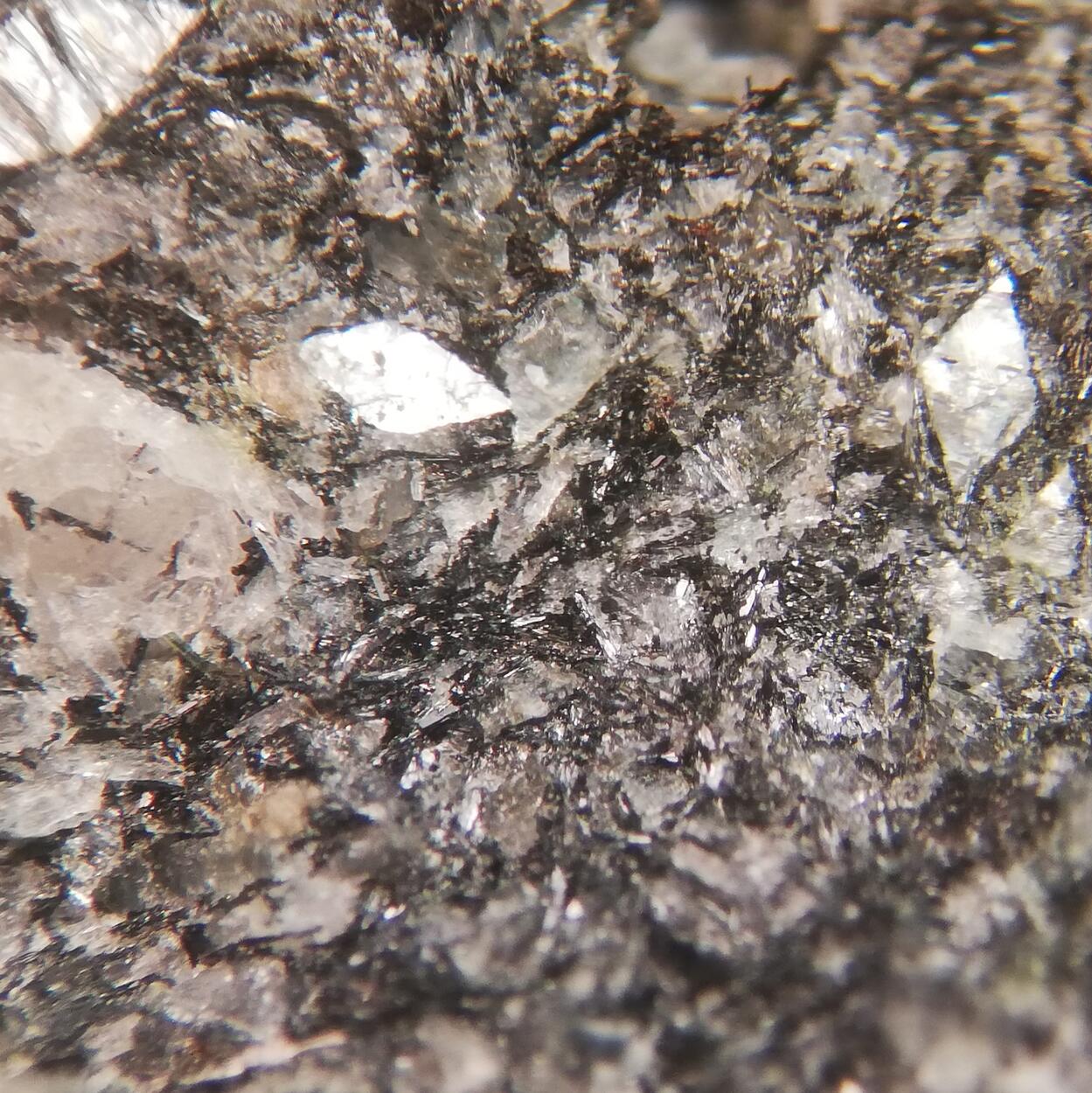 Naujakasite & Villiaumite