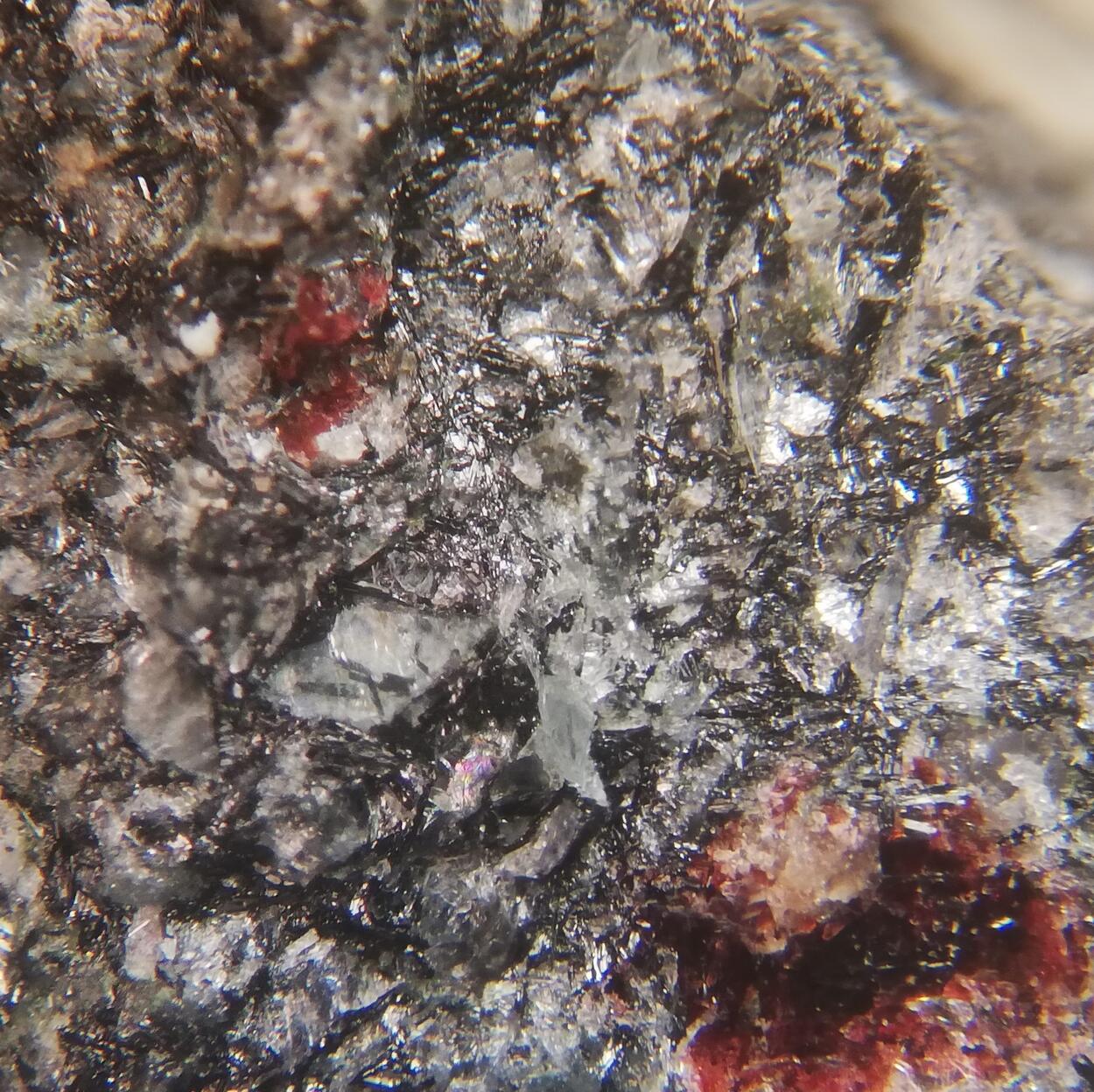 Naujakasite & Villiaumite