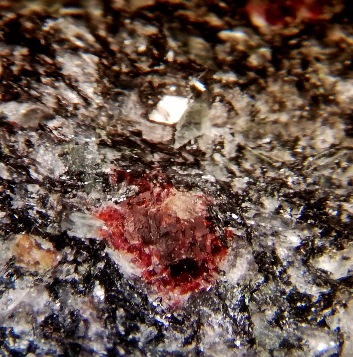 Naujakasite & Villiaumite