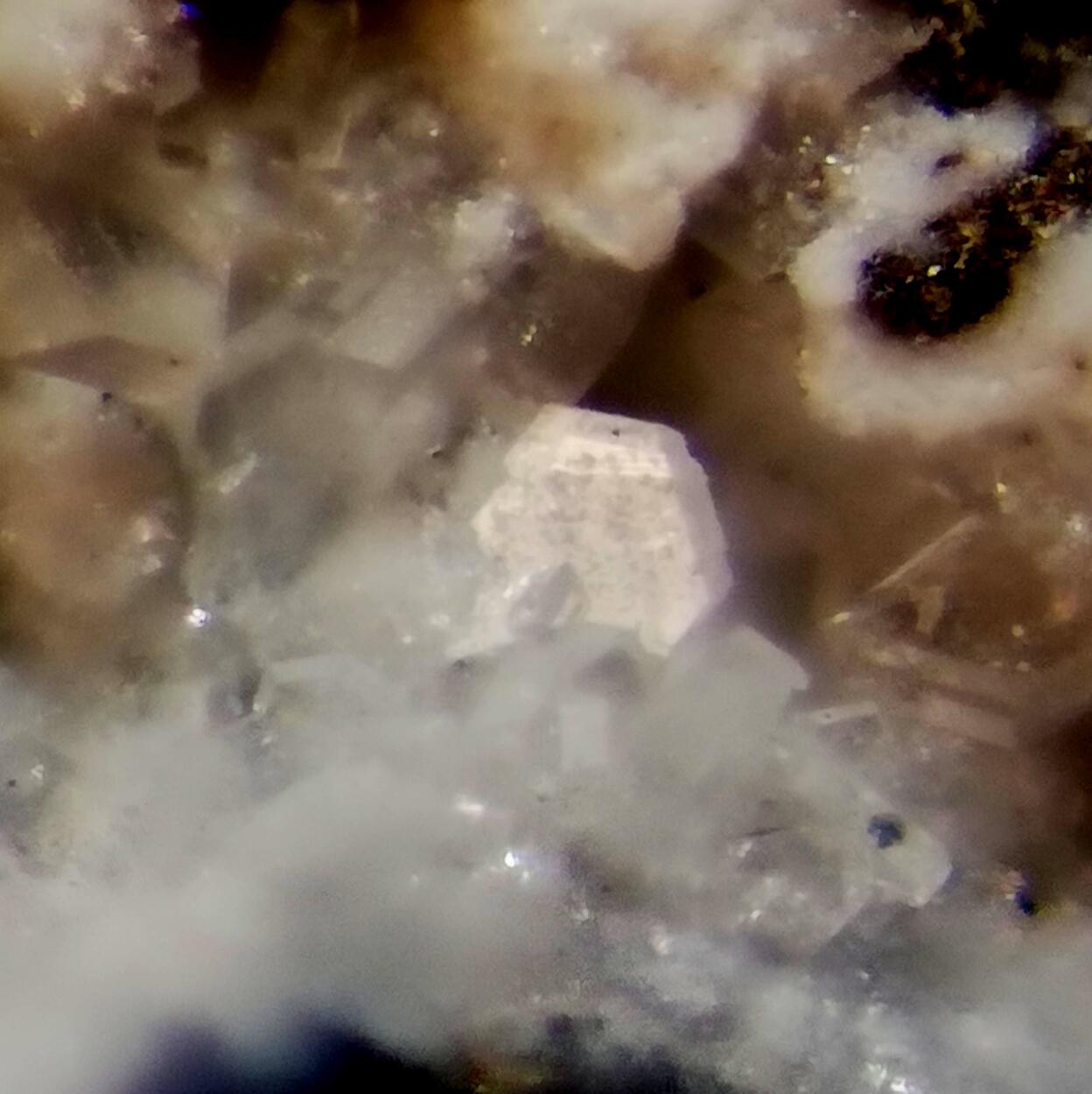 Zaccagnaite