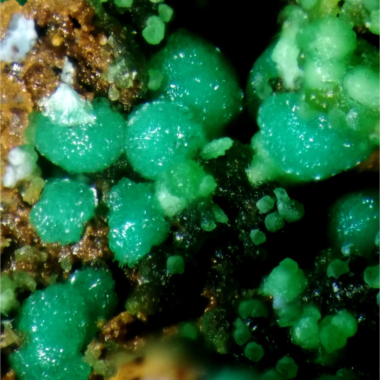 Goldhillite & Conichalcite