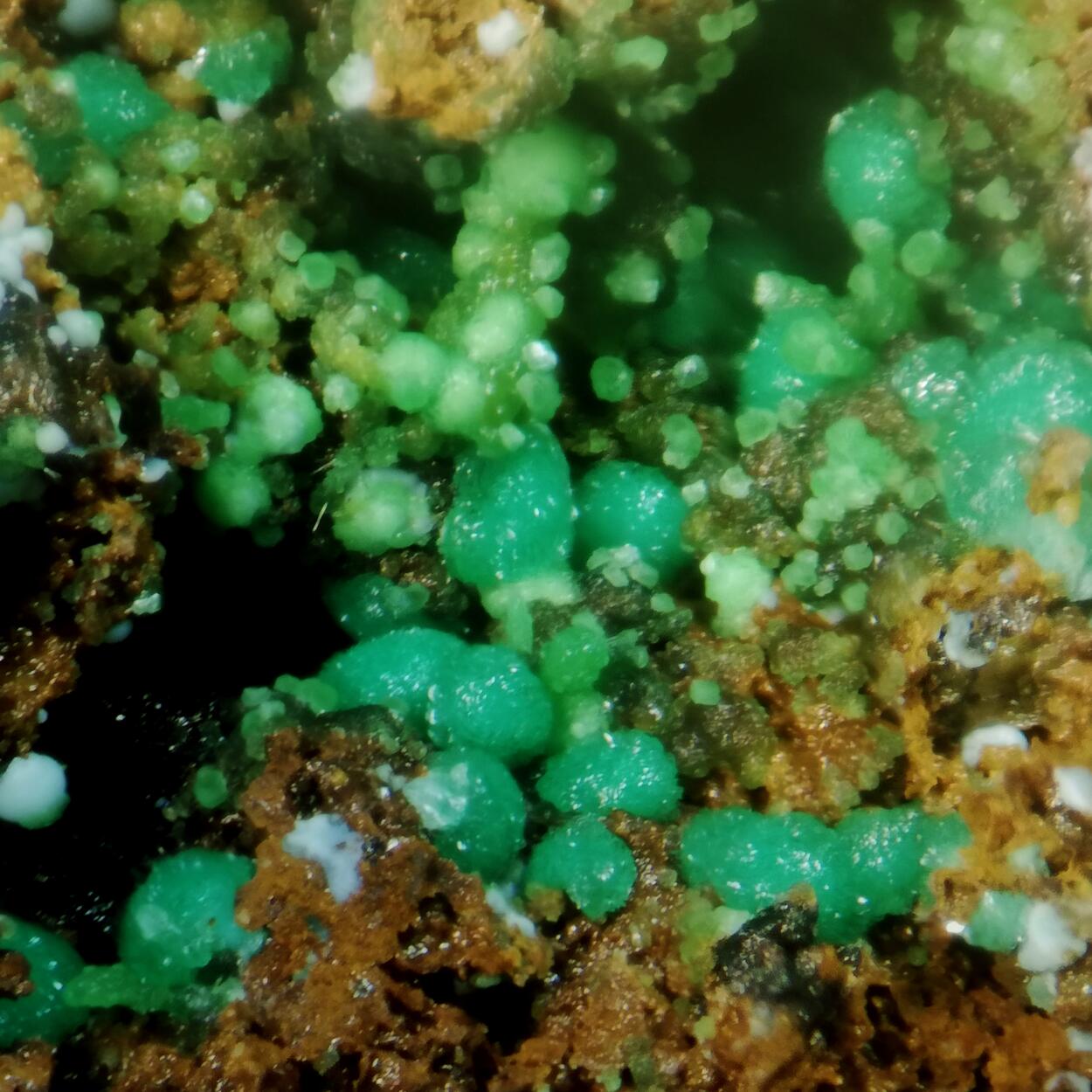 Goldhillite & Conichalcite