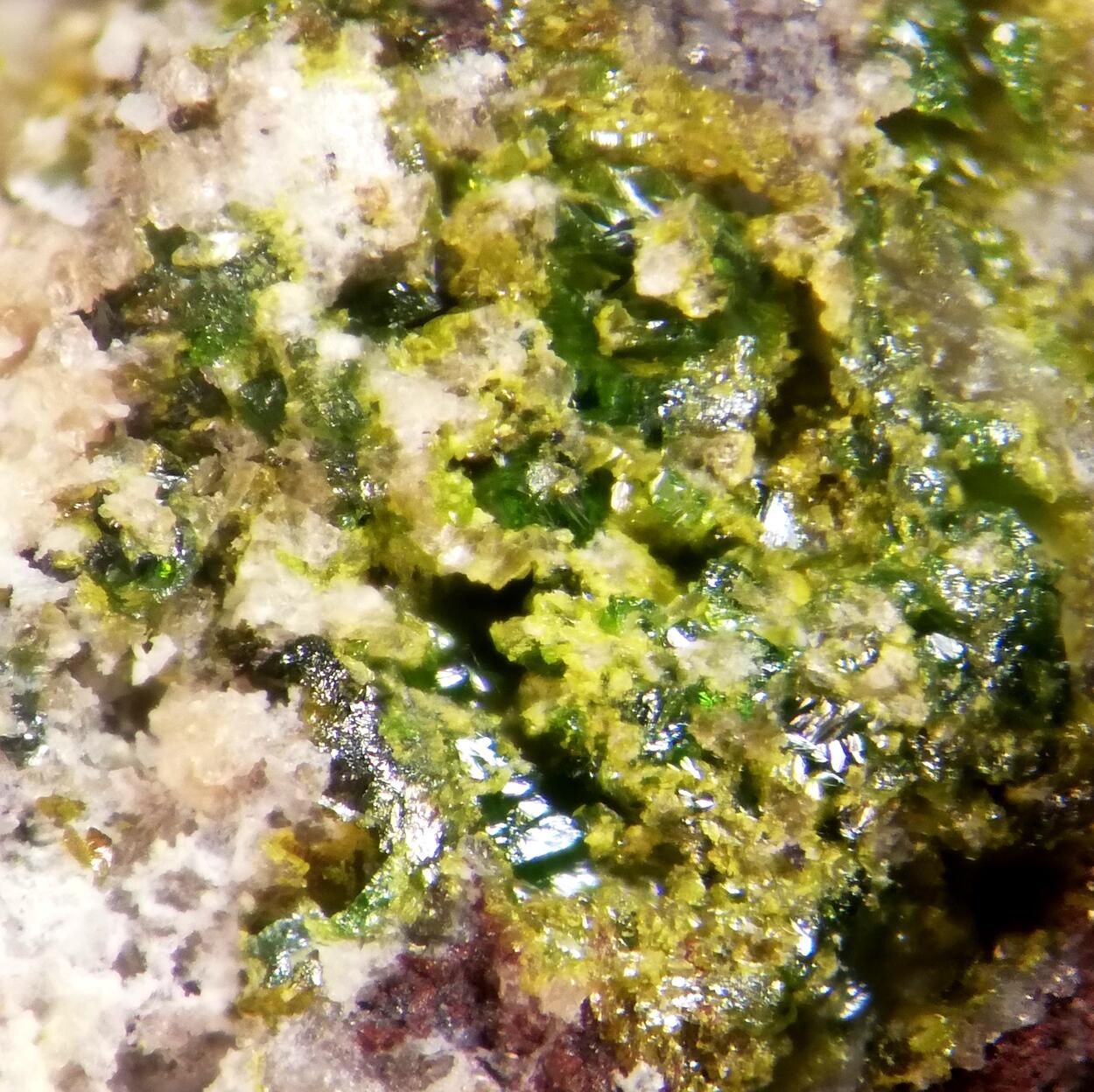 Fornacite