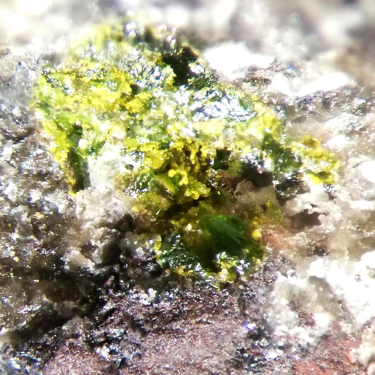 Fornacite