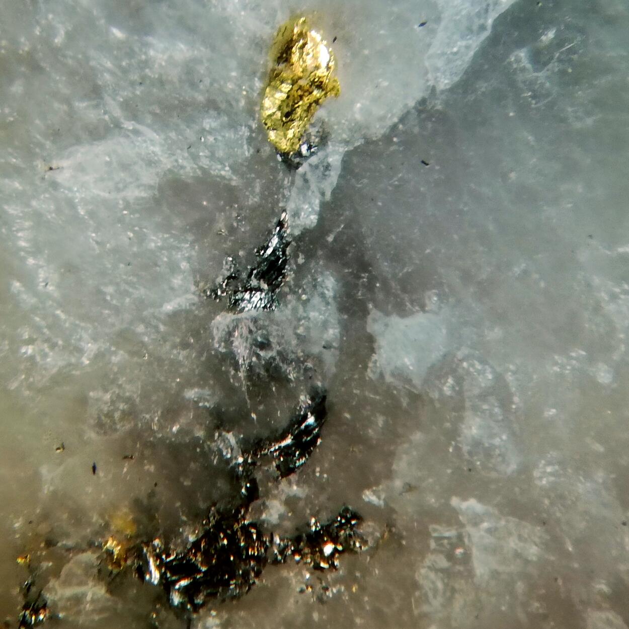 Gold & Molybdenite
