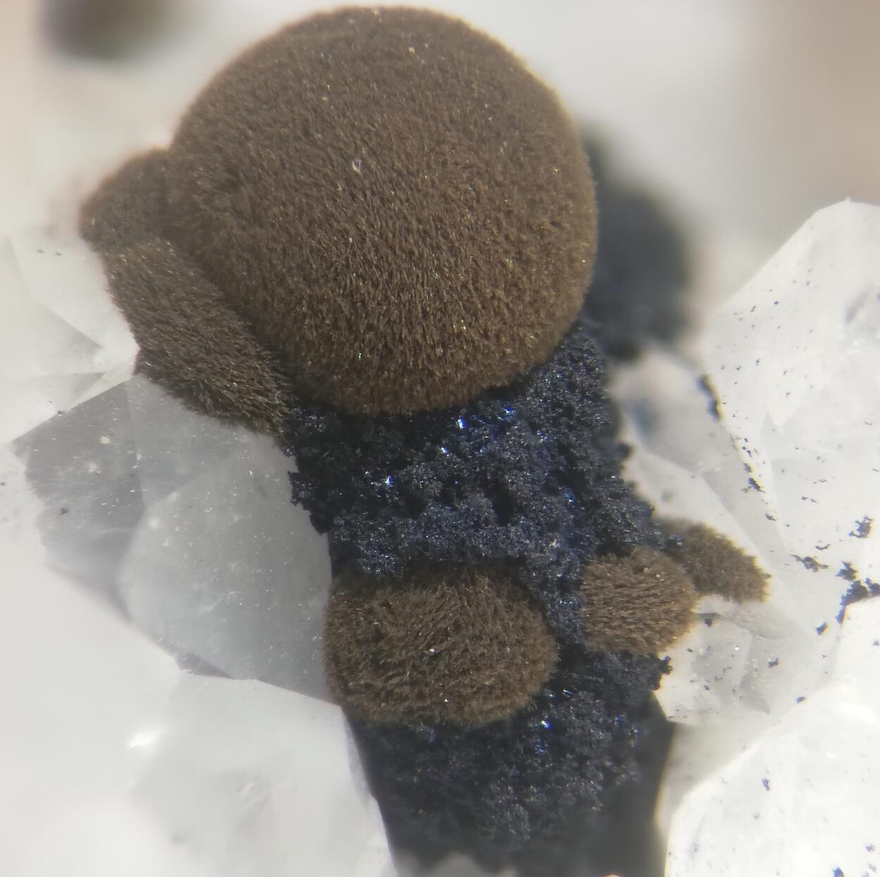 Tungstibite & Covellite