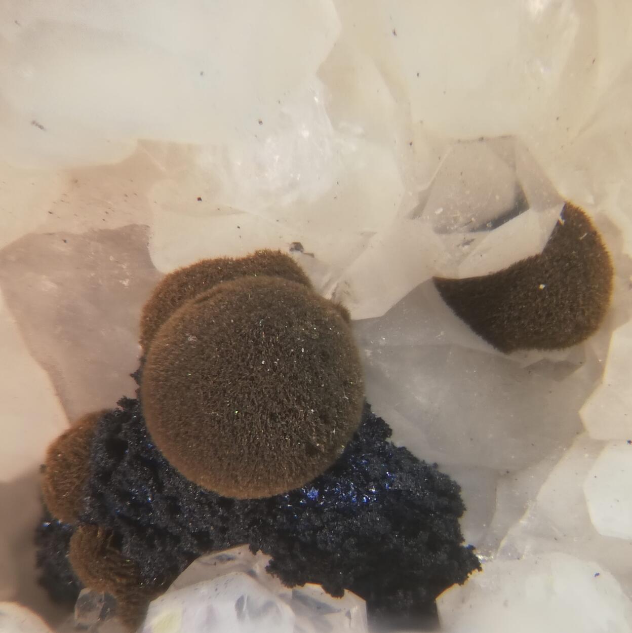 Tungstibite & Covellite