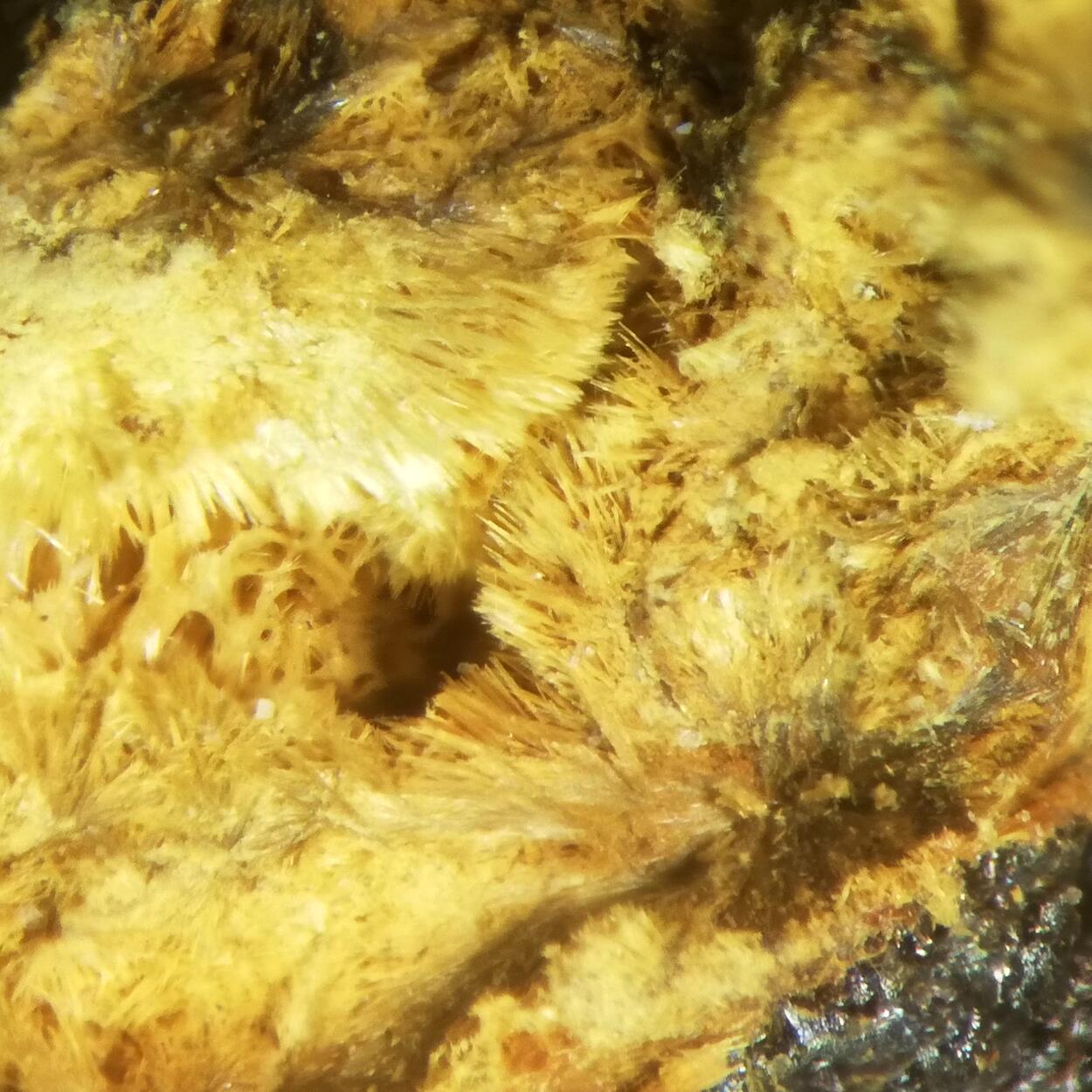 Kapundaite & Leucophosphite