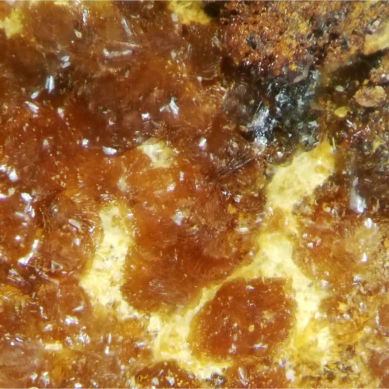 Kapundaite & Leucophosphite