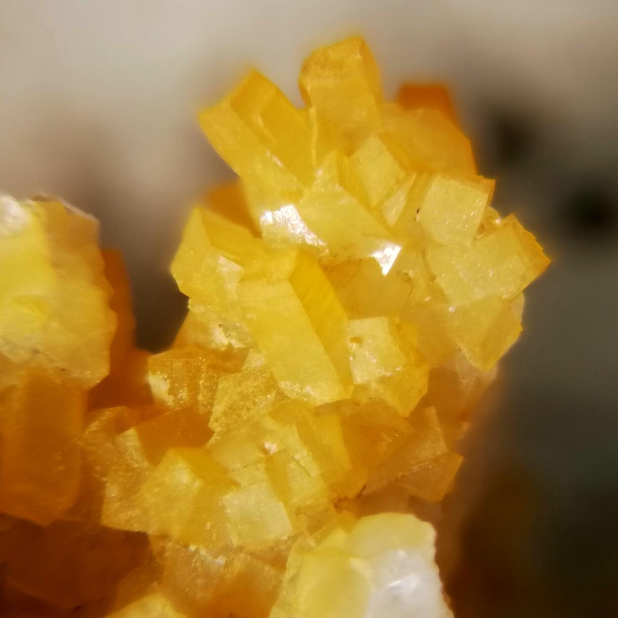 Hydrokenoralstonite Pachnolite Thomsenolite