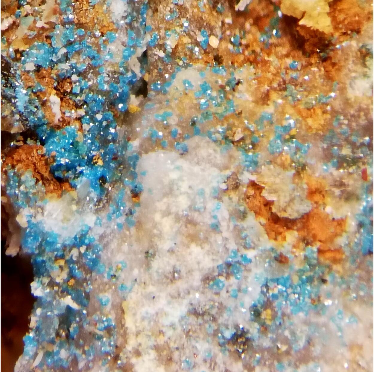 Pseudoboleite