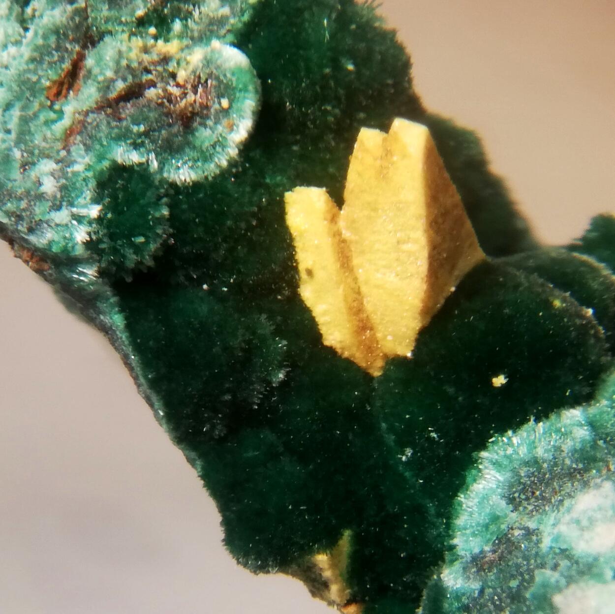 Kasolite Psm Demesmaekerite