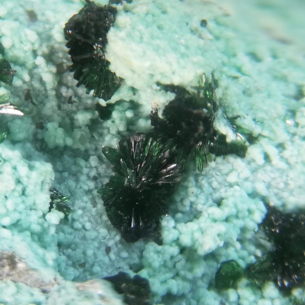 Libethenite On Chrysocolla