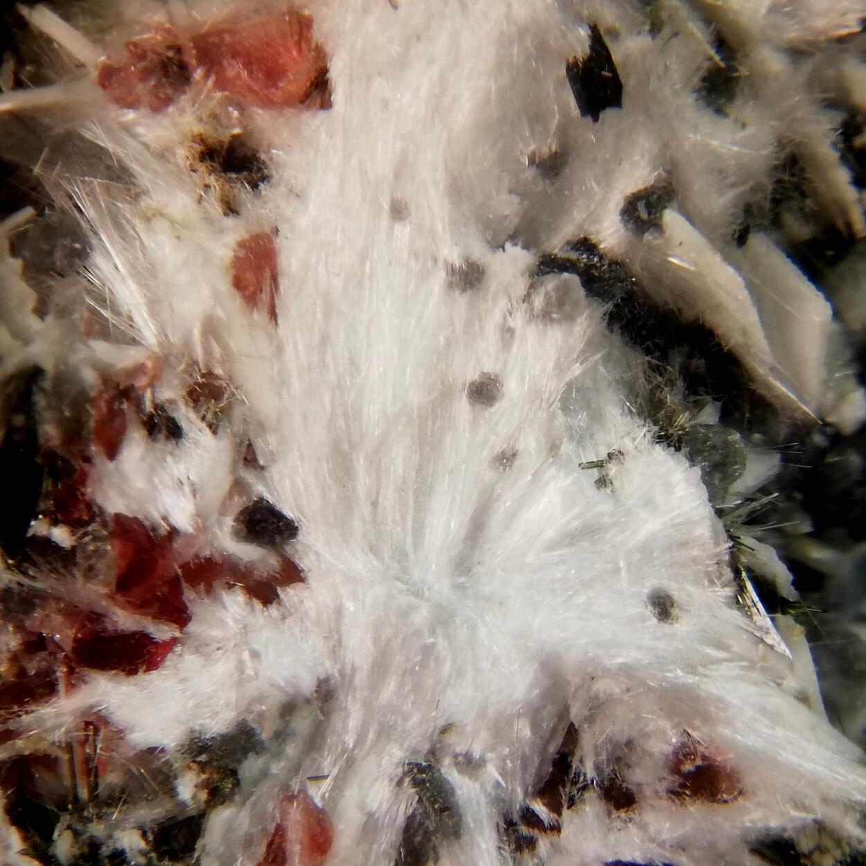 Makatite Eudialyte & Ellingsenite