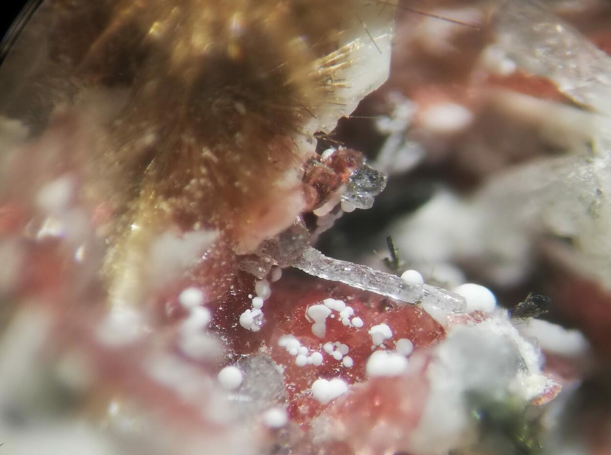 Makatite Eudialyte & Ellingsenite