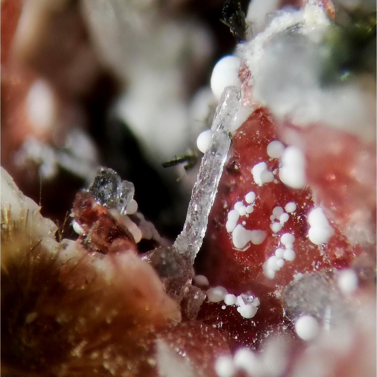 Makatite Eudialyte & Ellingsenite