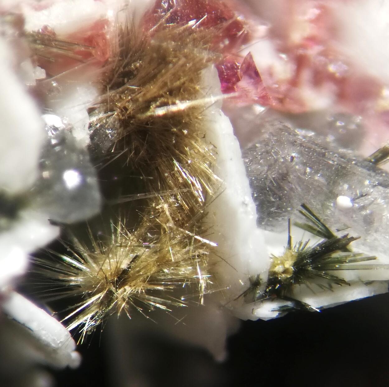 Makatite Eudialyte & Ellingsenite